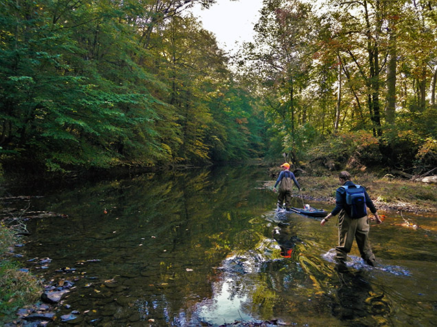 scientists walk through stream with equipment